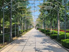 -南宫五洲植物乐园