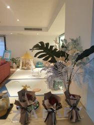 -明宇集团·积木枝芽母婴健康管理中心(天府店)