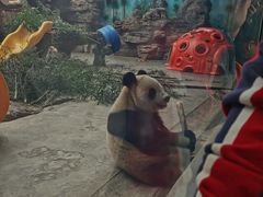 -石家庄市动物园