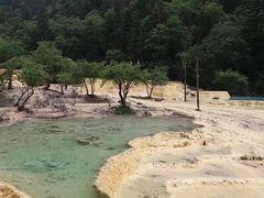 -黄龙山原始森林景区
