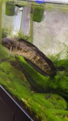 -Zoolung Zoolung动物主题公园(海信广场店)