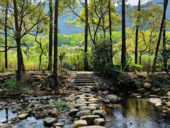 -福清灵石山国家森林公园