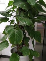 -悟空祛痘·专业祛痘机构