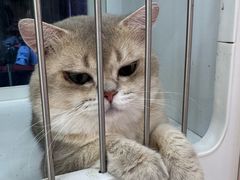 -万达广场(扬州邗江店)