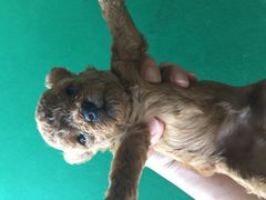-赢吧Bliss音乐酒吧
