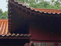 -深圳仙湖植物园
