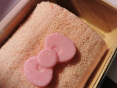 -安吉Hello Kitty乐园