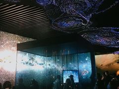 -贝林大翅鲸简餐厅(国家海洋博物馆店)