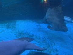 -烟台海昌鲸鲨海洋公园