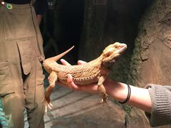 -zoonana室内动物园(东方福来德店)