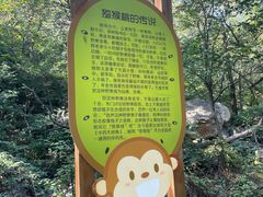 -大岭沟猕猴桃谷风景区