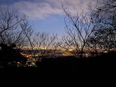 -香山公园
