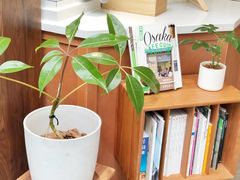 -Onirii Coffee(长乐路店)