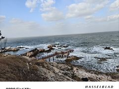 -养马岛旅游度假区