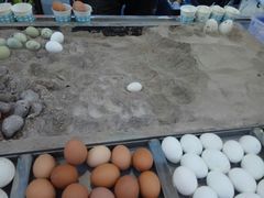 -五一星光夜市(SOHO新天地店)