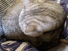 -不舍昼夜咖啡馆