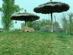 -北京野生动物园