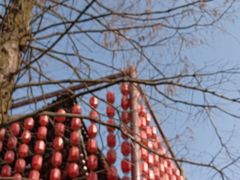 -径山寺