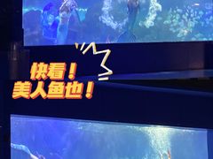 -重庆欢乐海底世界