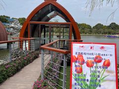-上海鲜花港