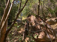 -广州白江湖森林公园