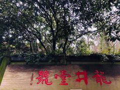 -龙井壹号·茶缘山景宴(龙井村店)