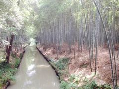 -同里国家湿地公园