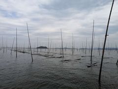 -北岐滩涂