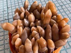 -阿炮美食城(石岐华润万家店)