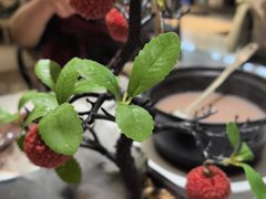 -椿记烧鹅(叠彩店)