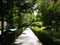 -阿尔罕布拉宫
