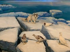 -陕西自然博物馆