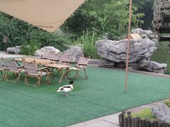 -扬州瘦西湖温泉