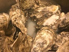 -新口福烧烤(凌河夜市店)
