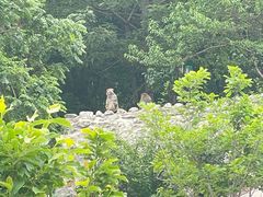 -北京上方山国家森林公园