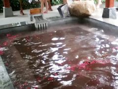 玫瑰池-天目湖御水温泉·度假酒店