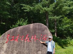 -五营红松林海景区