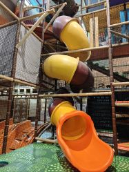 -卡通尼·Safari非洲探索乐园·生日会(金桥国际商业广场店)