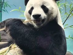 -济南野生动物世界