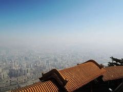 -兰山公园