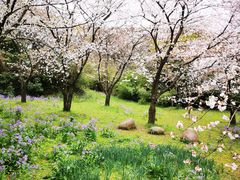 -苏州上方山国家森林公园