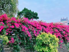 -鹅公村·国家非遗传承(荔湾店)