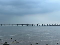 -宝安西湾红树林湿地公园