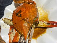 -老号尤兔头(玉堂店)