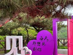 -大连金石滩国家旅游度假区