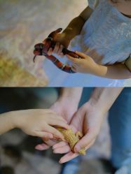 -酷嗒动物文化乐园(cutezoo西溪乐天城店)