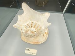 -天津古林古海岸遗迹博物馆