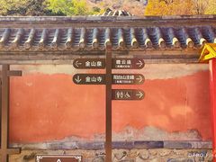 -阳台山自然风景区