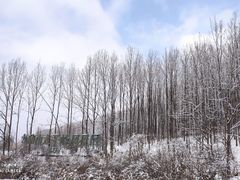 -太子岭滑雪场