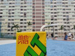 -彩虹村
